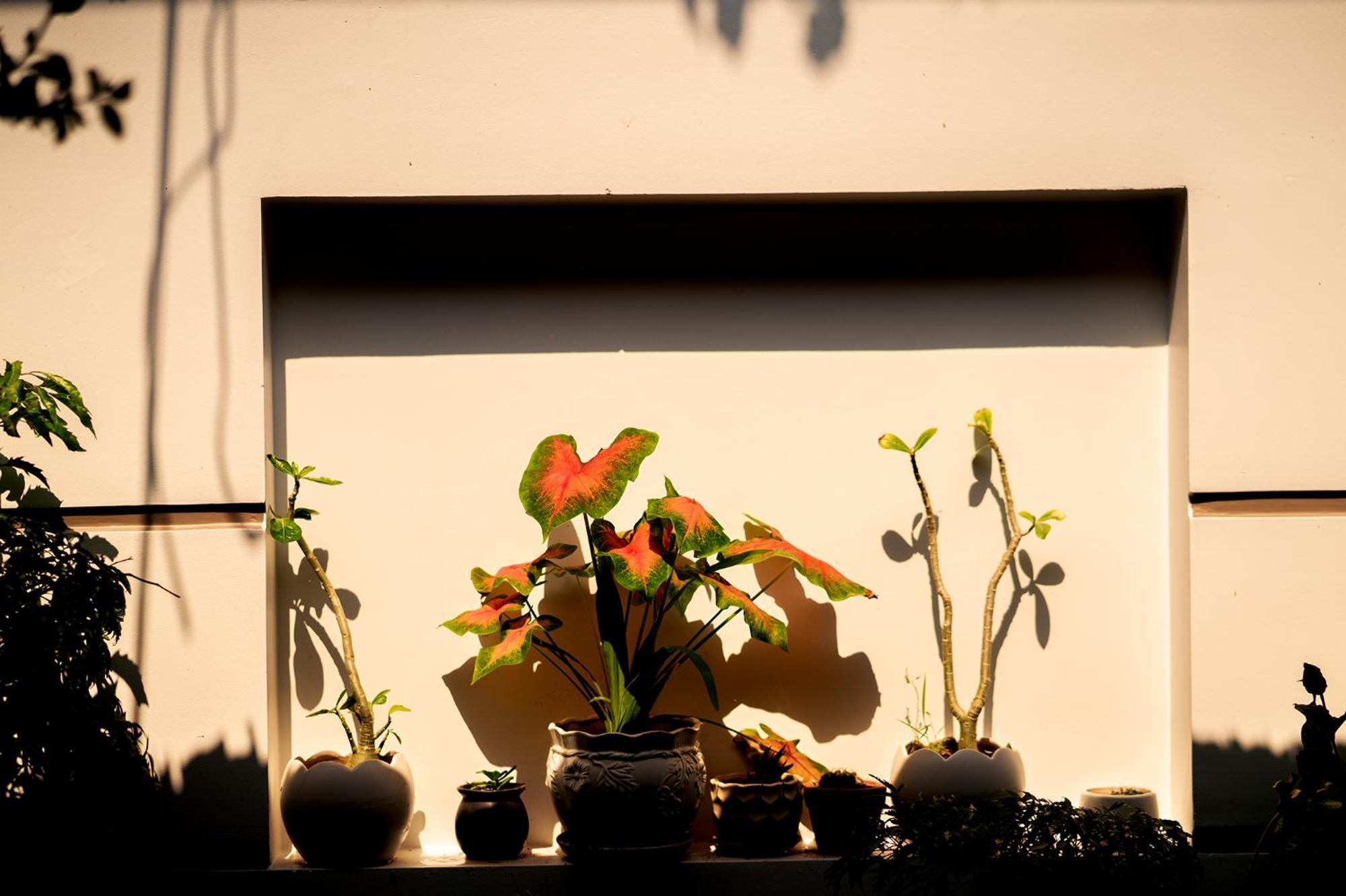 Hoi An Garden Sea Homestay Buitenkant foto