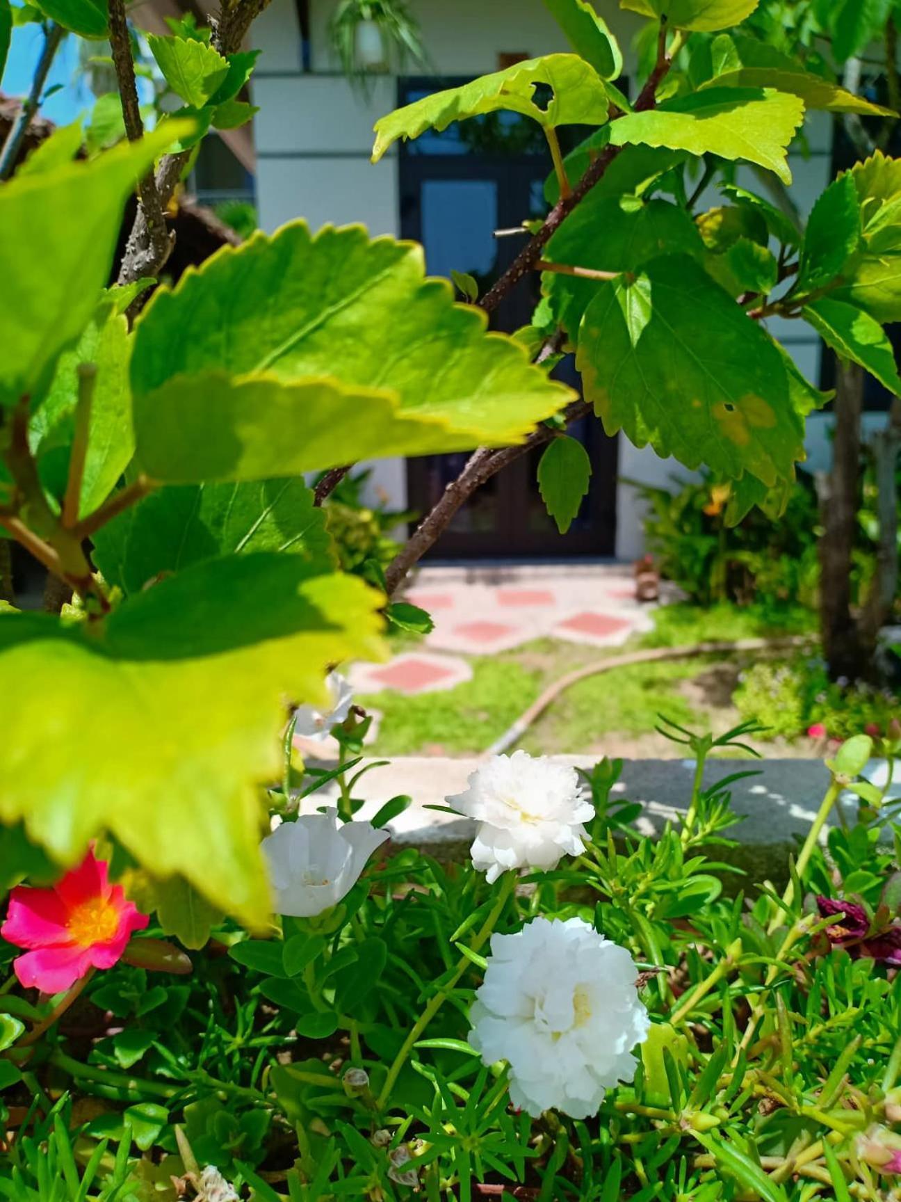 Hoi An Garden Sea Homestay Buitenkant foto